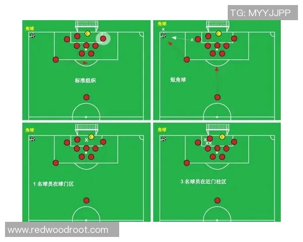 上海足球队的速度优势分析与战术应用探讨