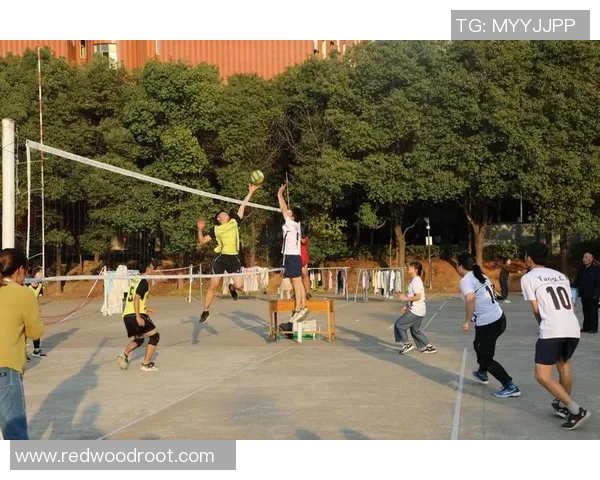 北京排球队耐力训练的挑战与突破探索之路