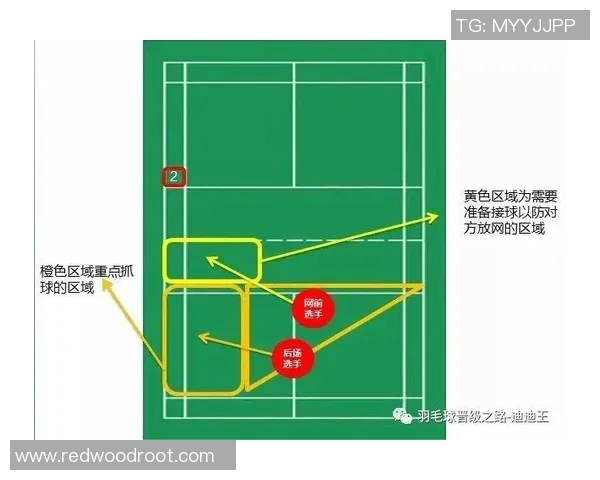 北京羽毛球队快攻革新之路：技术与战术的全面升级与探索