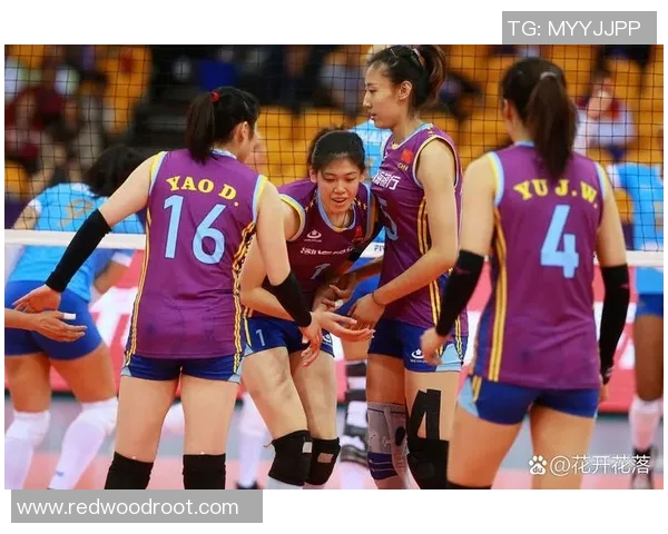 成都排球队灵活性变革引发热议助力排球运动新发展