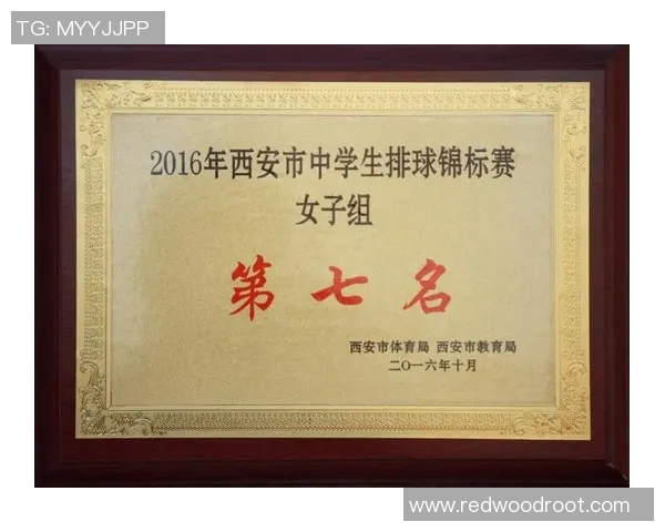 排球比赛经验排行榜揭晓北京排球队荣获第十名成就引关注 排球比赛经验排行榜揭晓北京排球队荣获第十名成就引关注