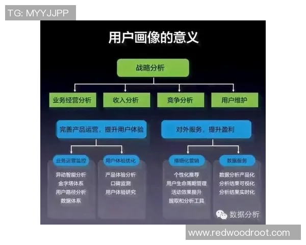 北京排球队防守策略分析与比赛表现评估的深度探讨 北京排球队防守策略分析与比赛表现评估的深度探讨