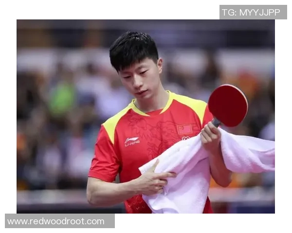 广州乒乓球队的灵活性探讨与发展策略分析