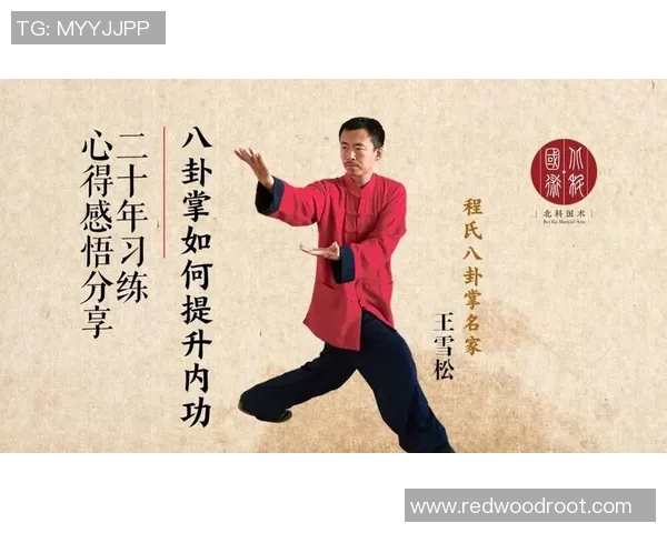 周芳独家揭秘乒乓球技巧与心得分享助你提升球技的秘诀