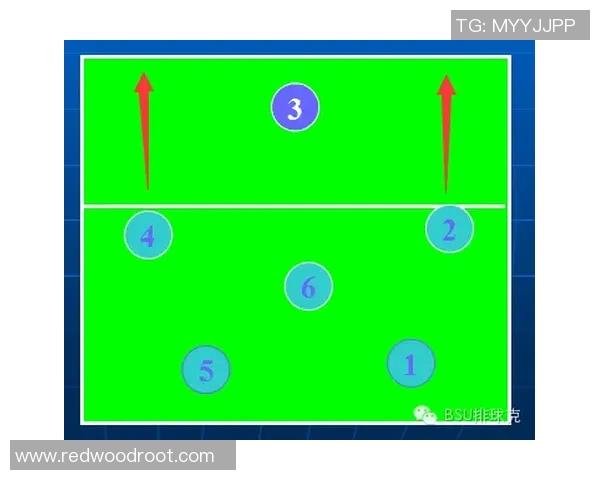 深圳排球队防守战术深度解析与实战应用探讨