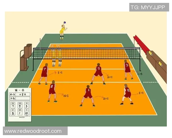 武汉排球队的崛起与挑战：探索排球运动的力量与未来发展