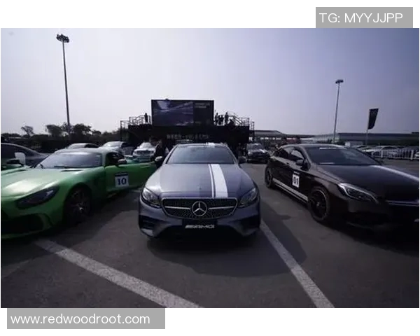 西安网球队实力飙升创历史新高引发全国关注与热议