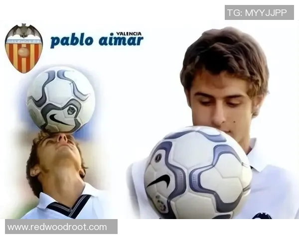 深圳网球队的比赛经验揭秘：网球巨献背后的故事与技巧分享