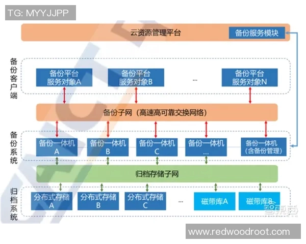 重磅专题解析西安排球队包夹战术的创新与发展趋势