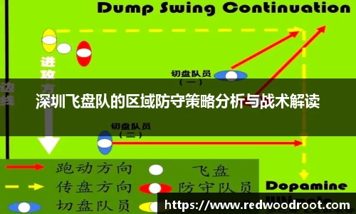 深圳飞盘队的区域防守策略分析与战术解读