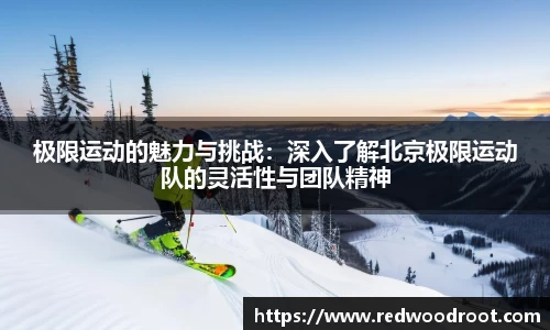 极限运动的魅力与挑战：深入了解北京极限运动队的灵活性与团队精神