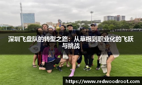 深圳飞盘队的转型之路：从草根到职业化的飞跃与挑战