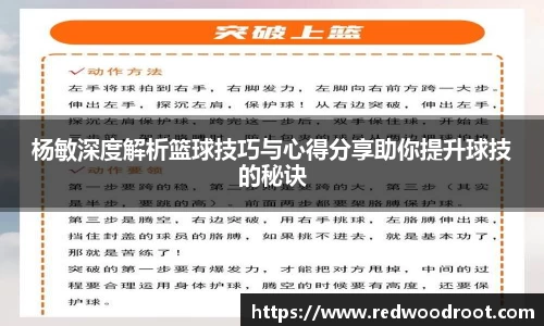 杨敏深度解析篮球技巧与心得分享助你提升球技的秘诀