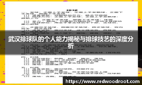 武汉排球队的个人能力揭秘与排球技艺的深度分析