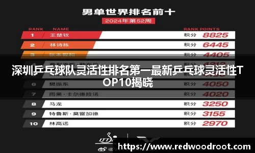 深圳乒乓球队灵活性排名第一最新乒乓球灵活性TOP10揭晓