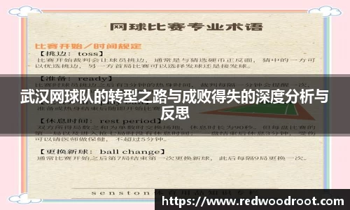 武汉网球队的转型之路与成败得失的深度分析与反思