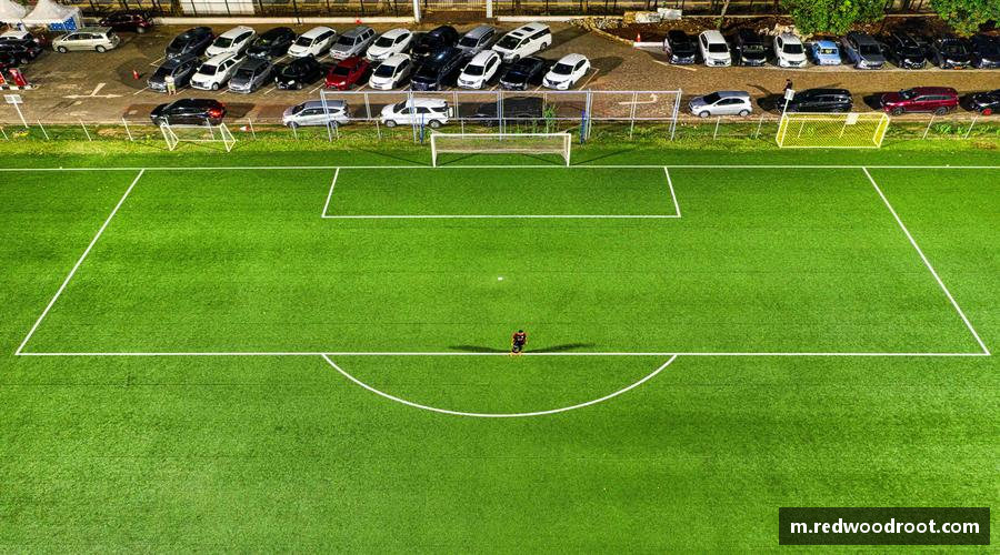 cc网投登录中心勇攀高峰，梦想飞扬